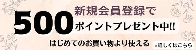 新規会員登録で500ポイントプレゼント