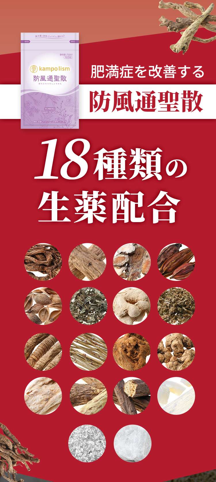 肥満症を改善する防風通聖散 18種類の生薬配合