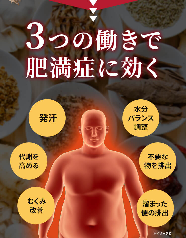 3つの働きで肥満症に効く 発汗 代謝を高める むくみ改善 水分バランス調整 不要な物を排出 溜まった便の排出