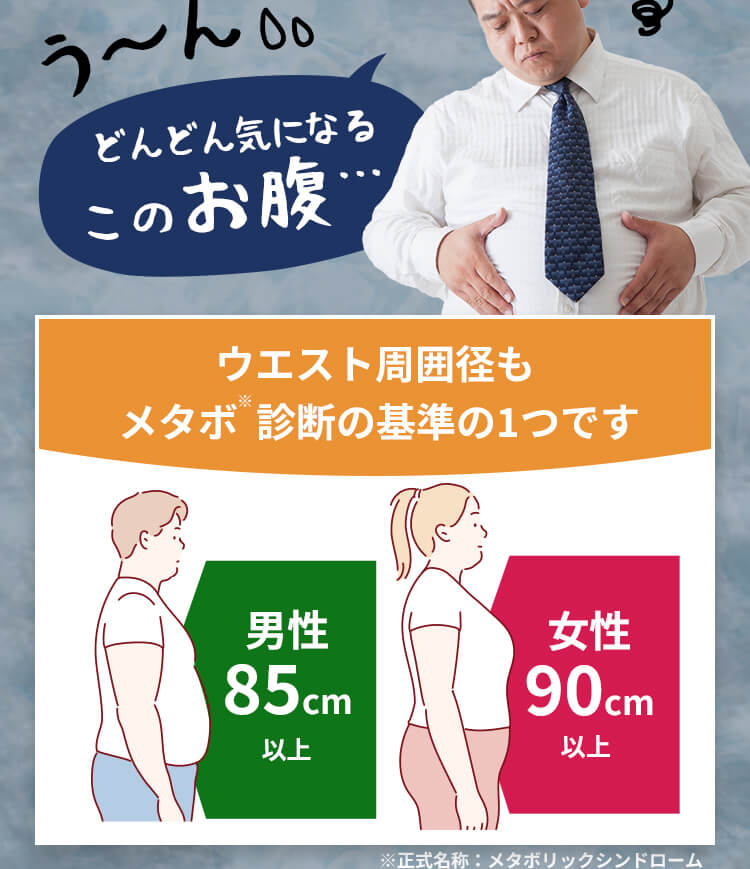 どんどん気になるこのお腹... ウエスト周囲径もメタボ診断の基準の1つです 男性85cm以上 女性90cm以上