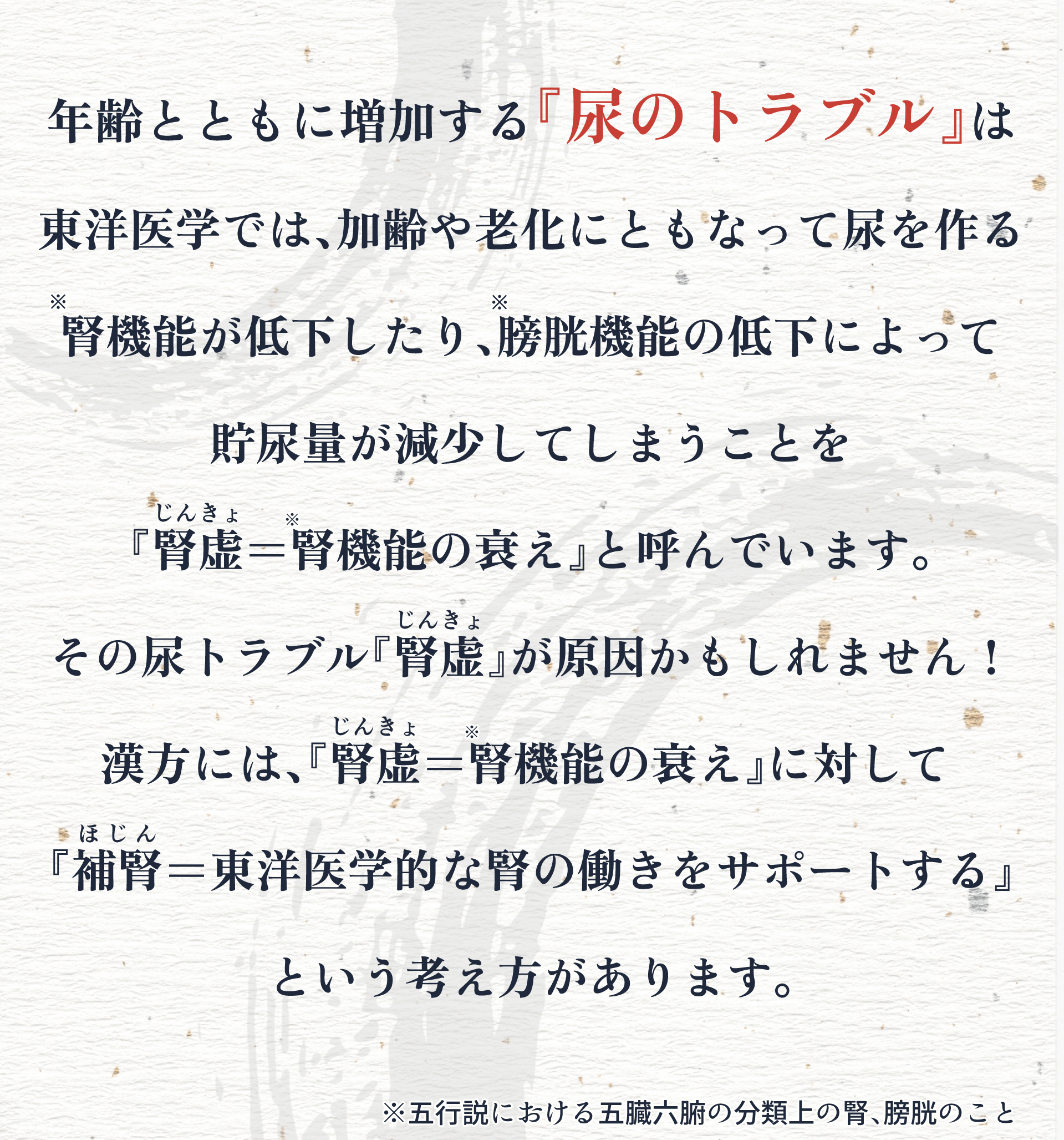 その症状、腎虚が原因かも