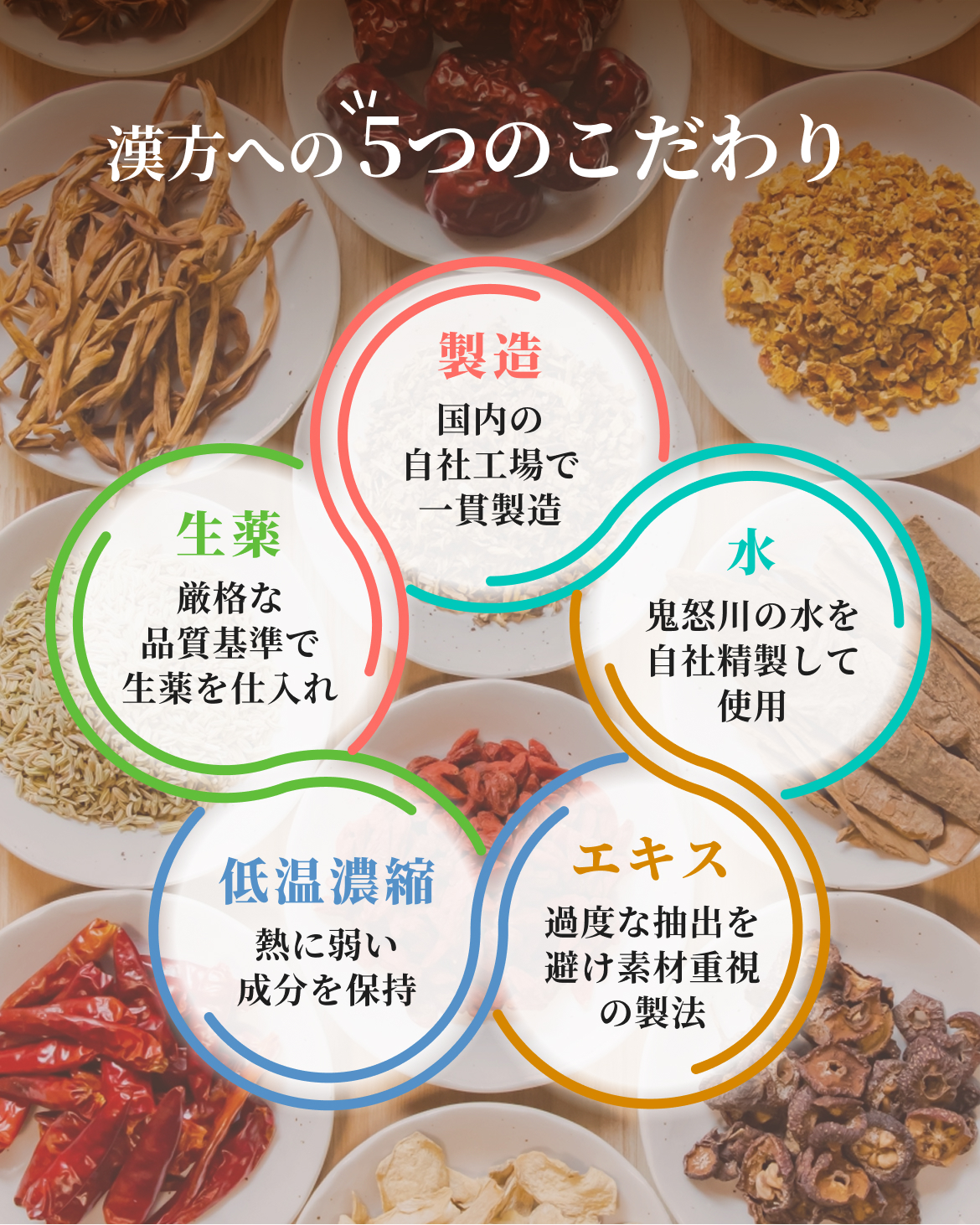 漢方への5つのこだわり　製造・水・エキス・低温濃縮・生薬