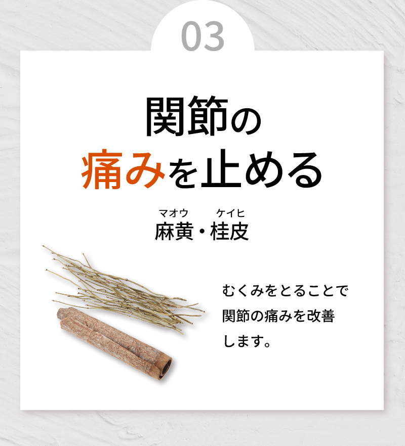 03 関節の痛みを止める 麻黄・桂皮 むくみをとることで関節の痛みを改善します。