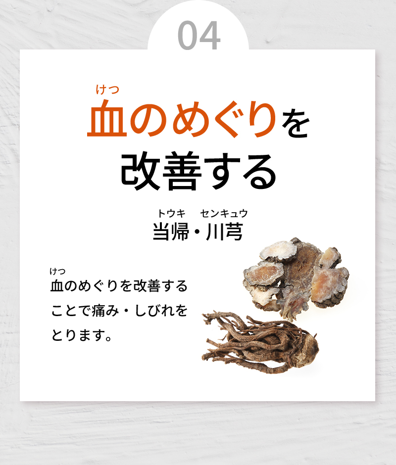 04 血のめぐりを改善する 当帰・センキュウ 血のめぐりを改善することで痛み・しびれをとります。